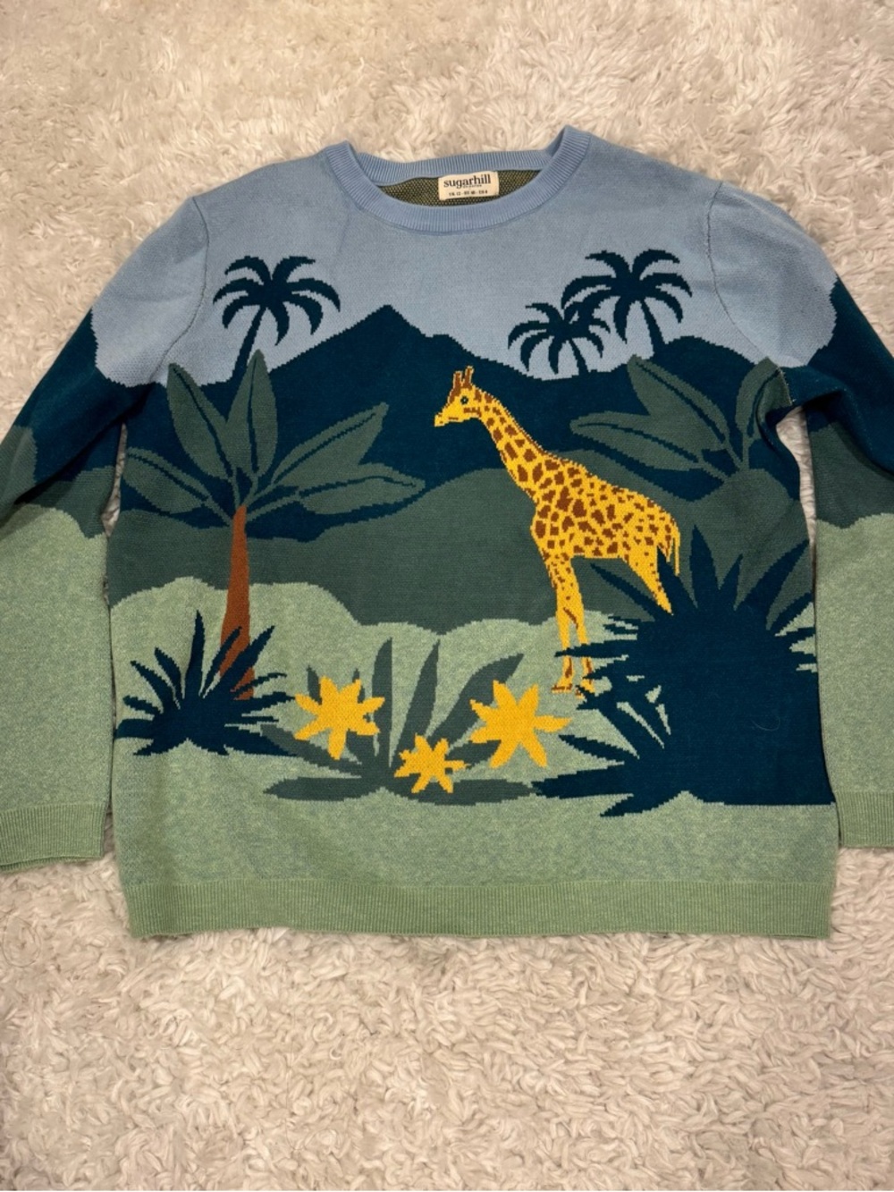 Tropical Giraffe Knit Sweater in Blue & Green
